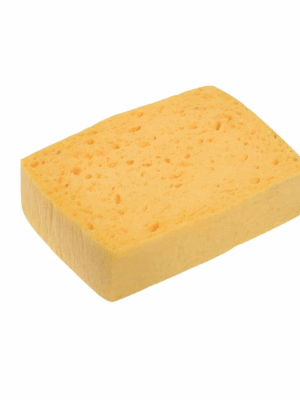 Éponge végétale