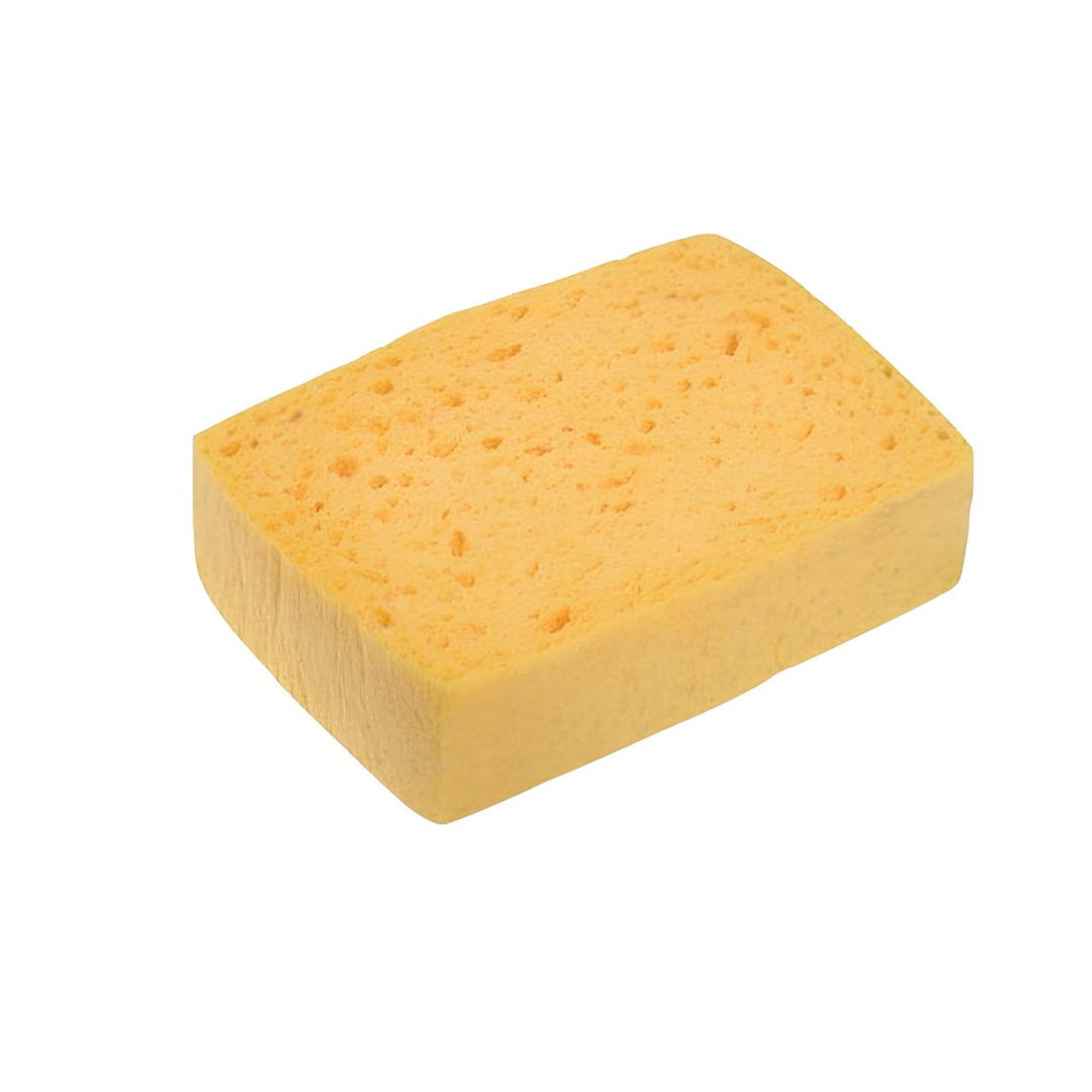 Éponge végétale